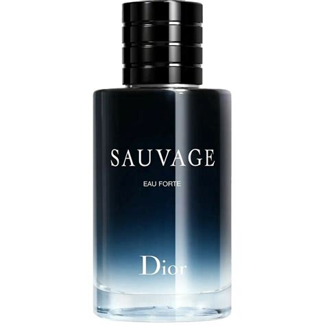 dior duftbeschreibung|sauvage parfum von dior.